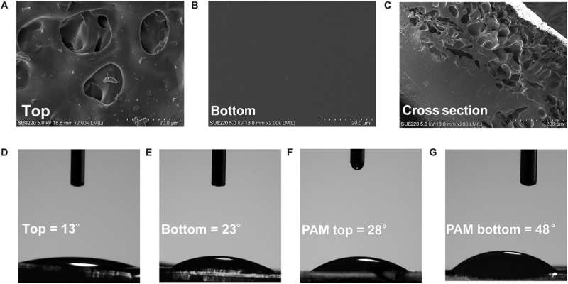 Simplified Synthesis and Characterization of Janus Hydrogels