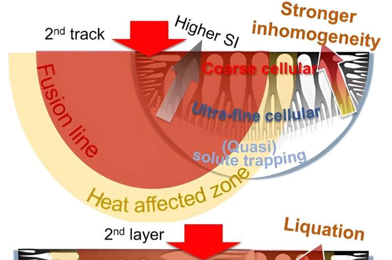 Additive Manufacturing: Understanding Solute Transport for Enhanced Part Quality