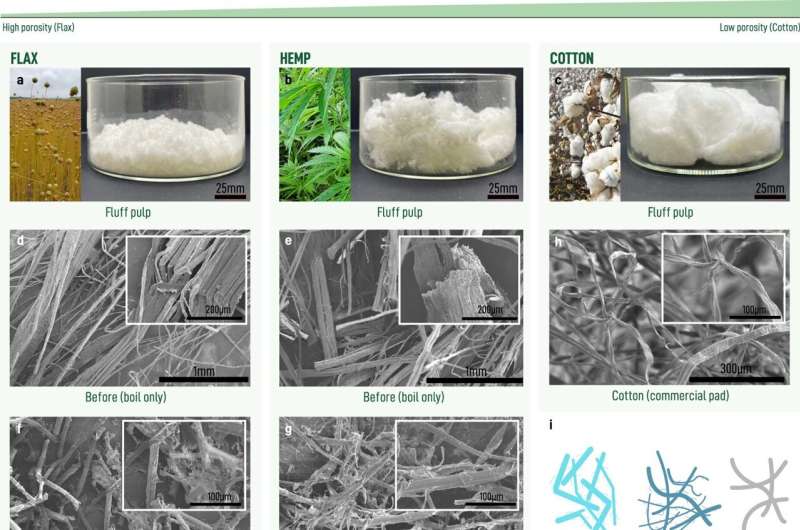 Sustainable Menstrual Pads: Research Explores Succulent Fiber for Improved Absorbency