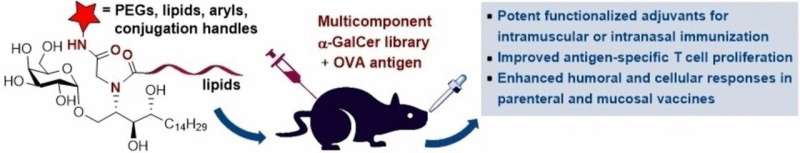 Novel Vaccine Adjuvants Developed to Enhance Immunization