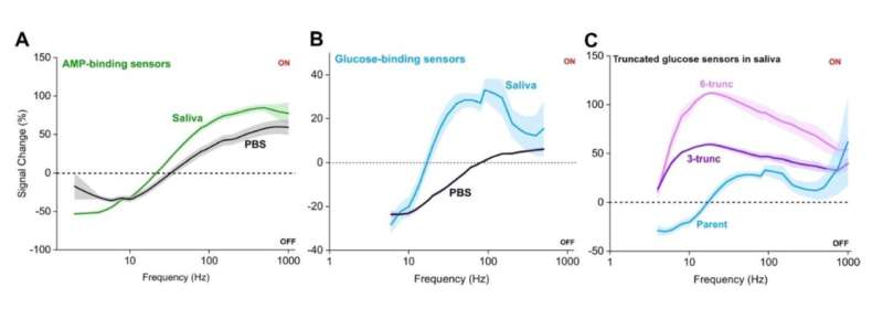 E-AB Sensors: Saliva-Based Health Monitoring via Frequency Optimization