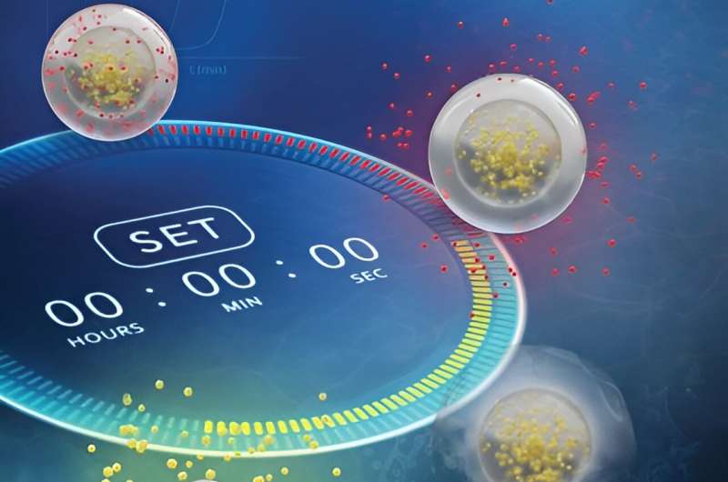 Hydrogels for Advanced Drug Delivery: Enhanced Efficiency and Controlled Release