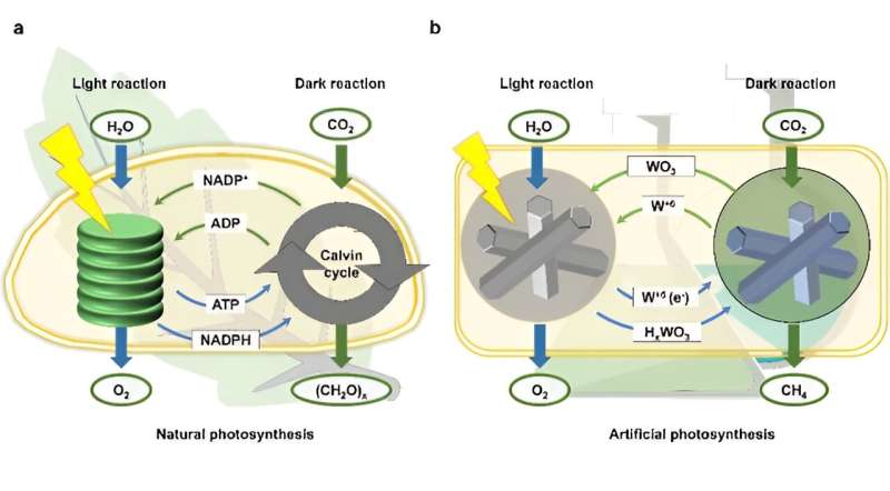 Mimicking Photosynthesis for All-Weather CO2 Reduction with Solar Power