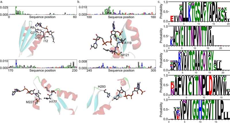 AI-Powered Enzyme Discovery: Unlocking the Secrets of E. coli Proteins
