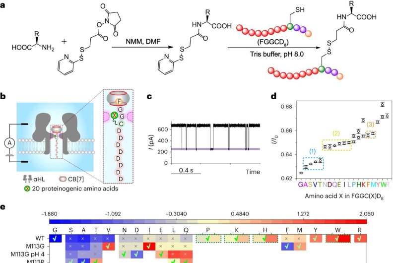 Novel Nanopore Sequencing Method for Enhanced Peptide Analysis