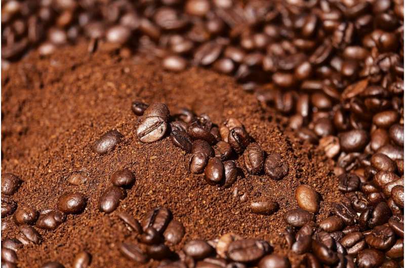 Coffee Grounds: A Potential Breakthrough in Preventing Neurodegenerative Diseases