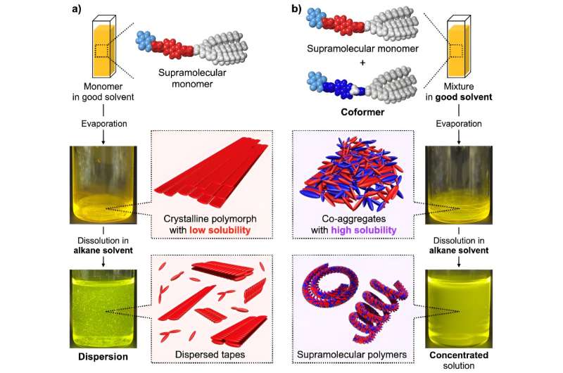 High-Concentration Supramolecular Polymer Synthesis: Overcoming Crystallization Challenges