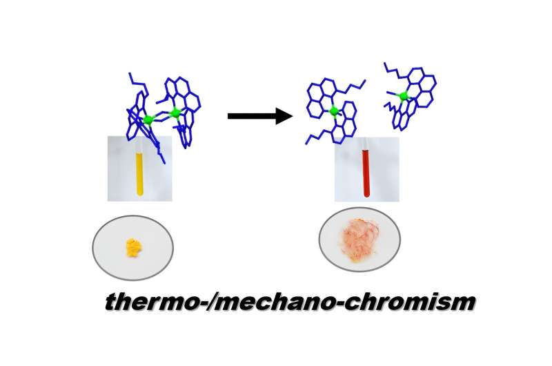 Chiral Self-Sorting Creates Switchable Structures: A New Coordination Dimer