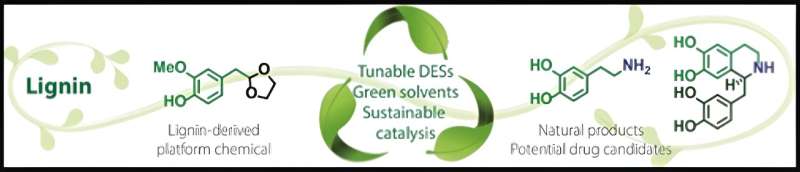 Sustainable Pharma: Researchers Develop Green Production from Wood Waste