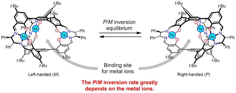 Controlling Chirality Switching Speed in Helical Metallocryptands