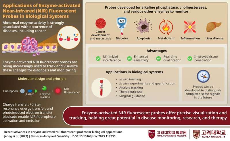 Enzyme-Activated Fluorescent Probes: Advancements in Biomedical Research
