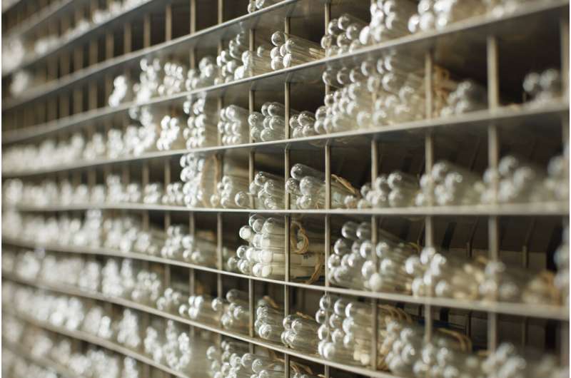 New Enzymes Discovered with Potential for Natural Cancer Treatments