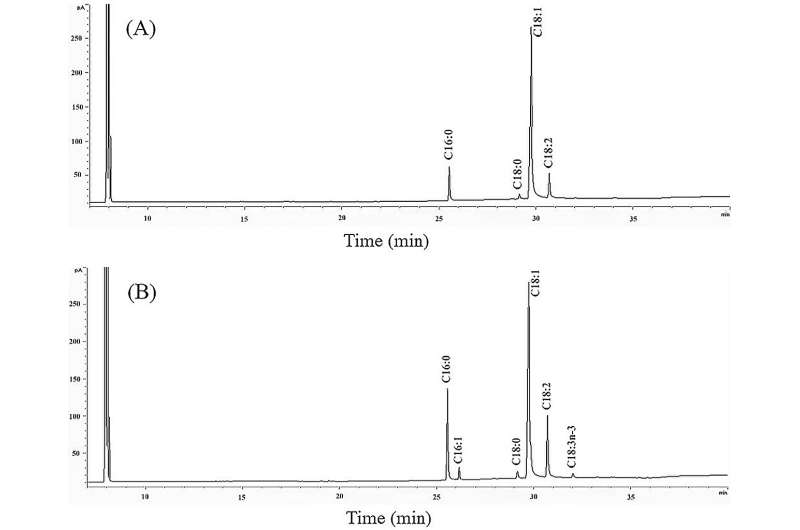 Novel Method for β-Sitosterol Detection in Edible Oils - Food Quality & Safety