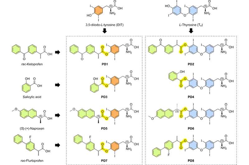 Thyroxine Derivative Boosts Brain Drug Delivery: New Research