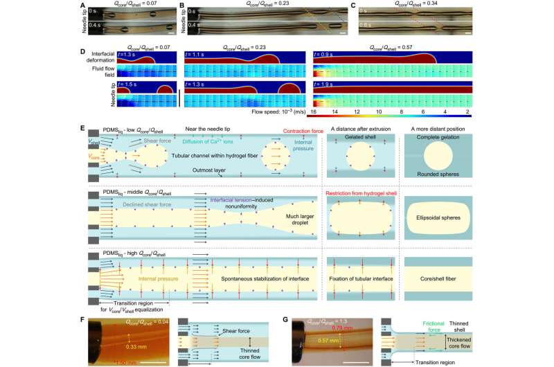 Hydrogel-Assisted Microfluidic Spinning for Stretchable Fibers