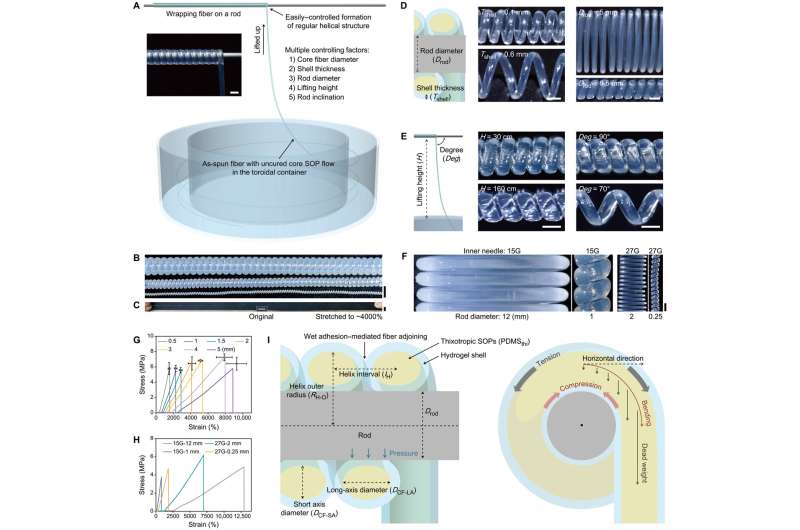 Hydrogel-Assisted Microfluidic Spinning for Stretchable Fibers
