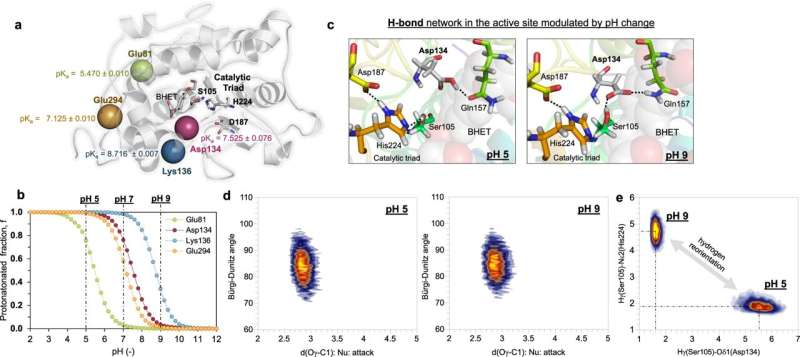Biotech Breakthrough: New Process Degrades Plastics Using Engineered Enzymes