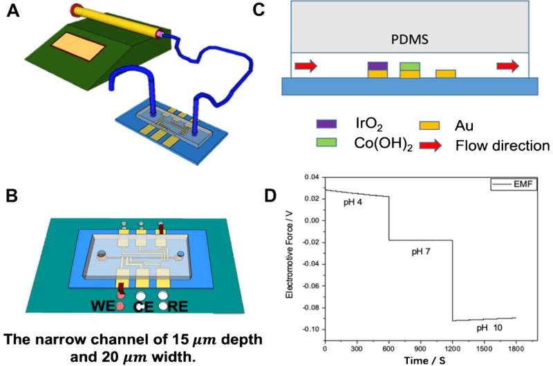 Novel Microfluidic pH Sensor Developed by Chemists