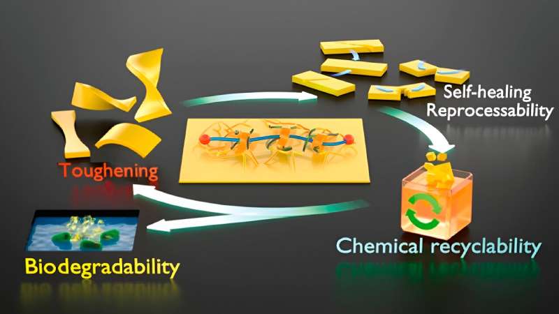 Self-Healing & Stretchable Plastic: A Breakthrough by University of Tokyo