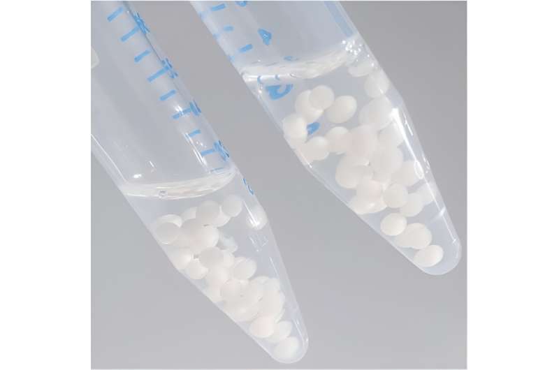 Engineered Bacteria Convert Plastic Waste into Valuable Resources