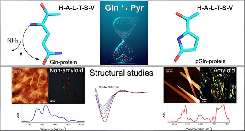 Peptide Structure Mimics Amyloid Plaques: Implications for Neurodegenerative Diseases