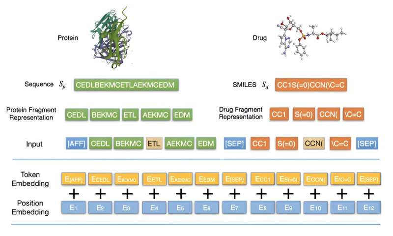 Novel Method Predicts Drug-Protein Binding Affinity with Enhanced Accuracy