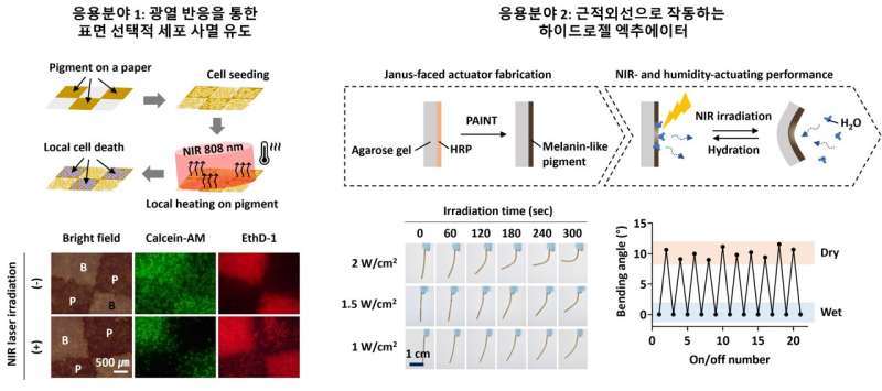Bio-Inspired Organic Pigments: Mimicking Melanin for Advanced Materials