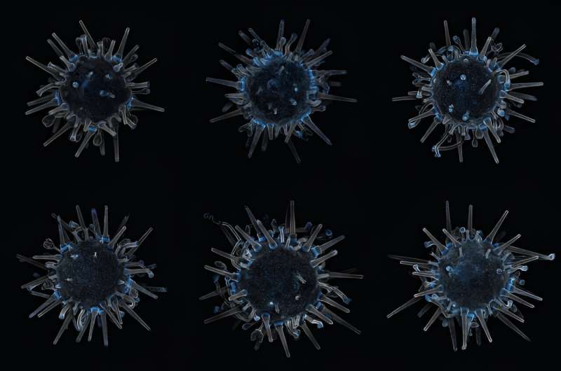 Transgenic Sea Urchin Research: Scientists Achieve Breakthrough in Gene Expression