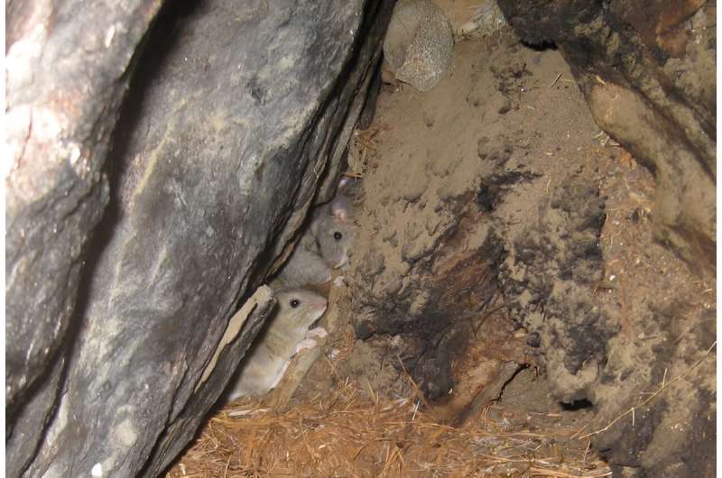 Preserving Climate History: Scientists Advocate for Protection of Natural Archives