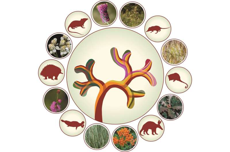 New Research on Plant Symbiosis Challenges Single-Origin Theories