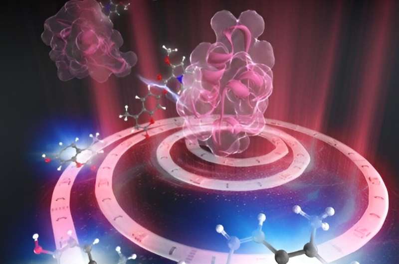 Light-Activated Drug for Cancer: Minimizing Side Effects with Targeted Therapy