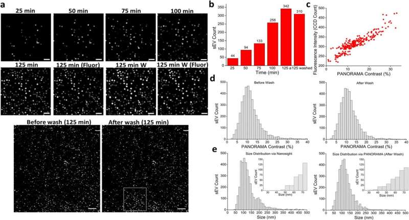Advanced Cancer Detection: Counting Circulating Tumor Cells with PANORAMA Imaging