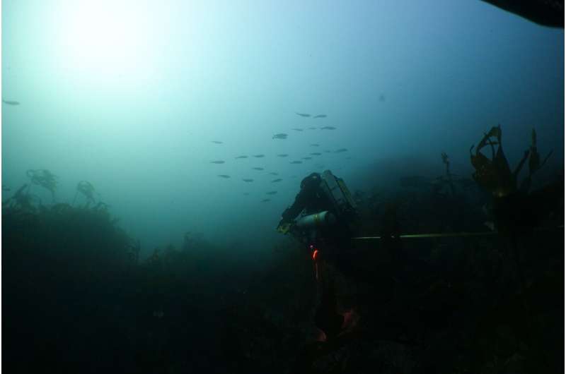MPAs Often Miss Core Habitats of Rare Migratory Fish - New Research