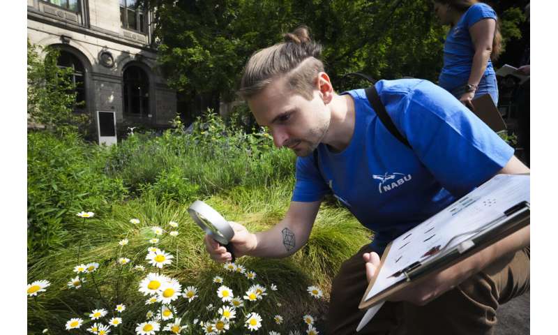 Citizen Science Insect Count: Germany s Summer Biodiversity Project Begins