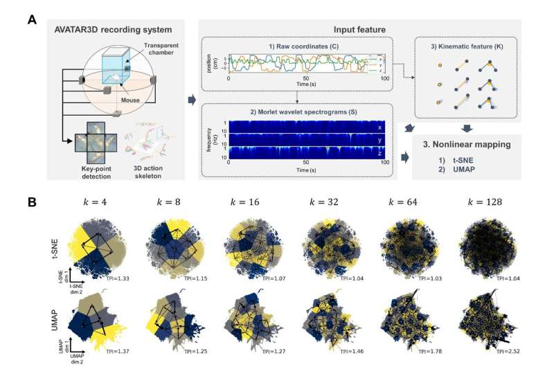 TPI: A Novel Metric for Evaluating Animal Behavior Analysis with AI