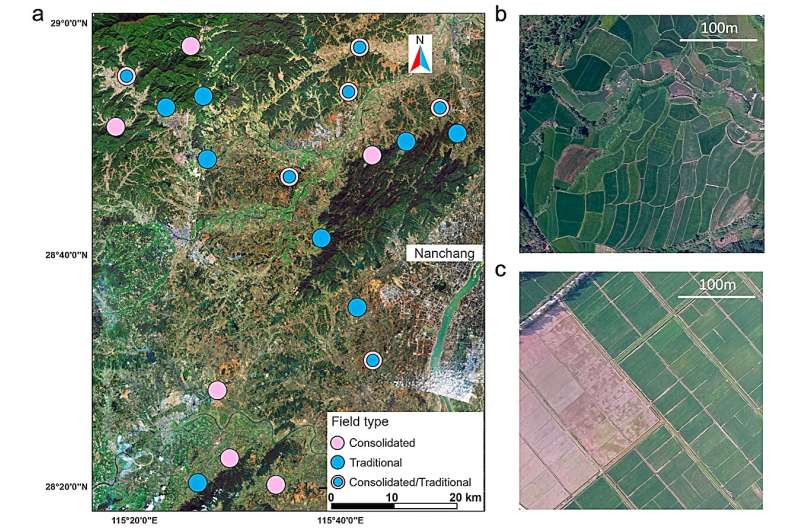 How Farmland Diversity Impacts Natural Pest Control - Ecology Study