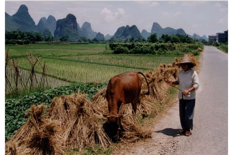 How Farmland Diversity Impacts Natural Pest Control - Ecology Study