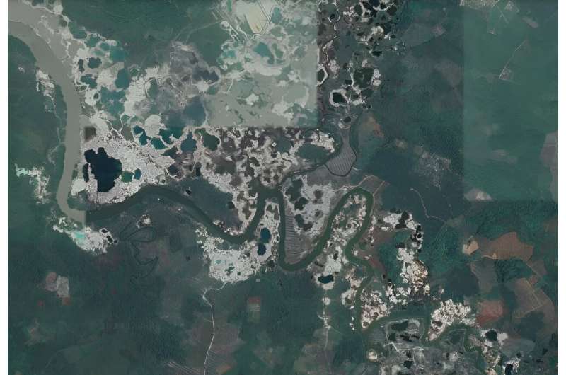 Indonesia Crocodile Attacks: The Hidden Link to Smartphone Production