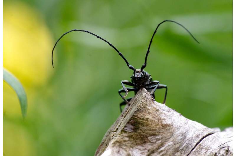 European Attitudes Towards Alternative Proteins: A Consumer Study