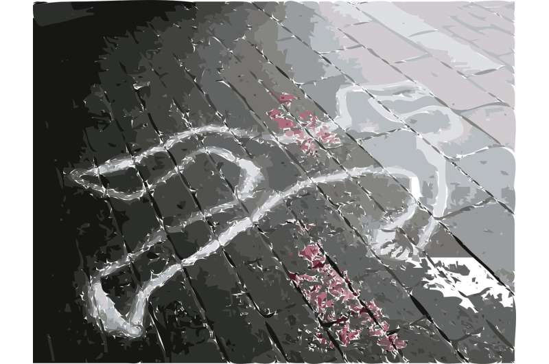 Ancient Pig Mummies: Textile Analysis Advances Forensic Science