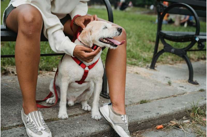 The Social Impact of Owning an Aggressive Dog