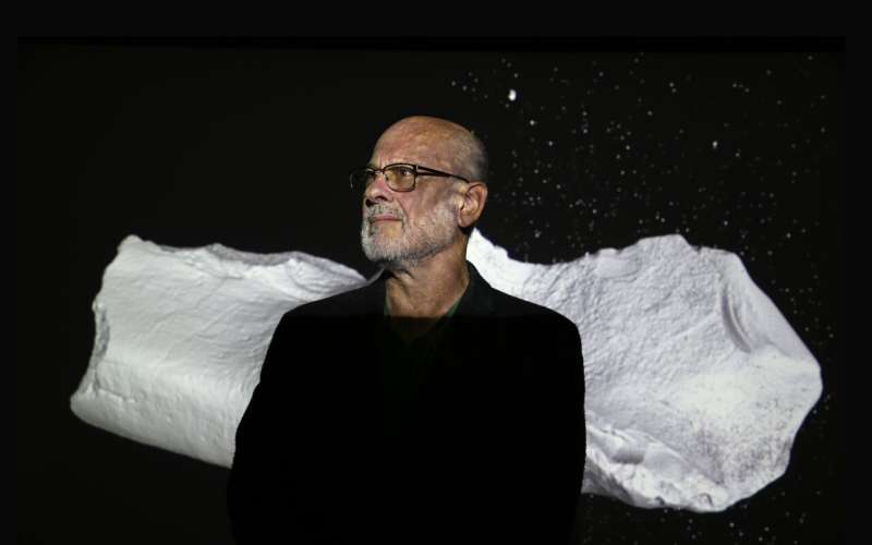 Ancient Monotreme Discoveries: New Fossils Reveal Age of Early Mammals