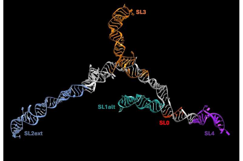 Ultra-High Definition RNA Structure Analysis Breakthrough