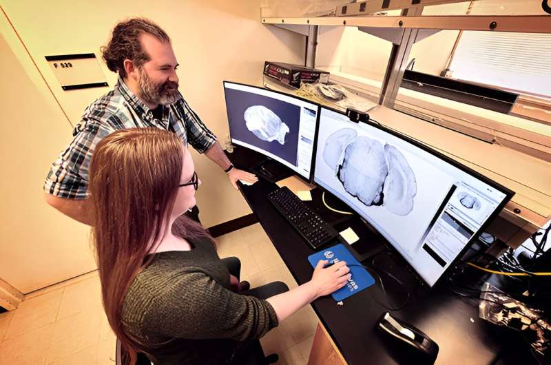 AI Revolutionizing Animal Behavior Research: A New Era of Understanding