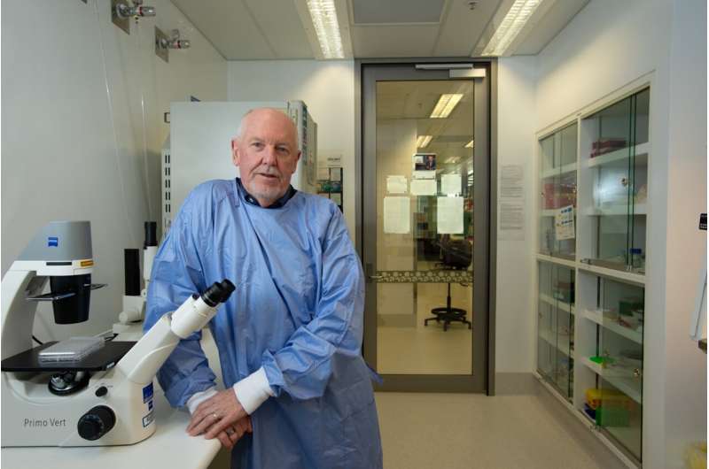 Koala Conservation: A Look at Currumbin Wildlife Hospital s Success Story