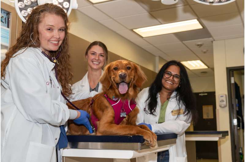 Heartburn Medications May Hold Promise for Canine Cancer & Immune Disorders