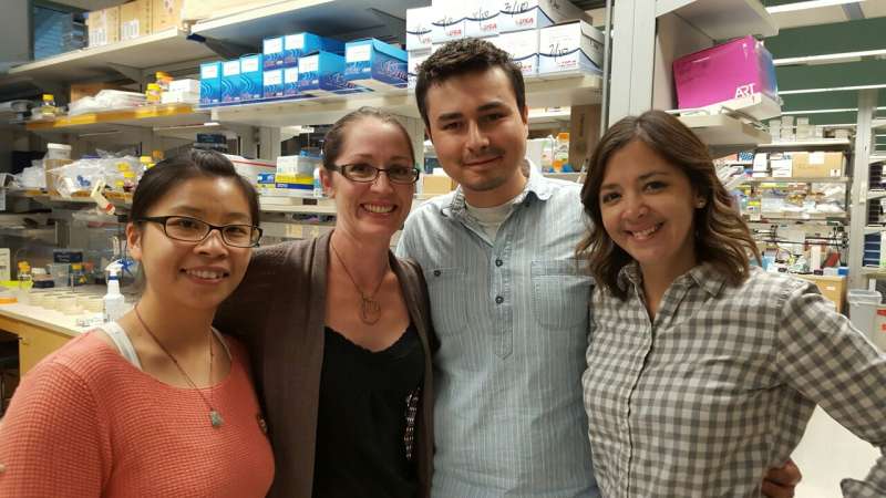 Gene Function in Early Embryo Development: New Atlas Reveals Insights