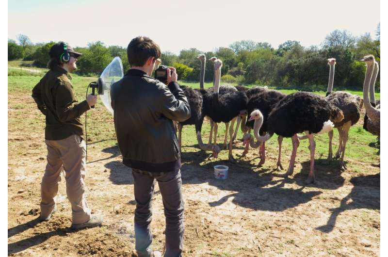 Shared Genetic Origins of Birdsong and Human Speech: A Deep Dive