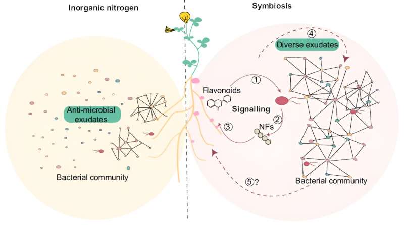 Plant-Bacteria Communication: Key to a Healthy Plant Microbiome | Research Highlights