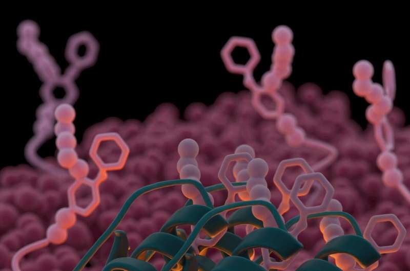 Plectasin: How  Antibiotic Velcro  Disrupts Bacterial Surfaces